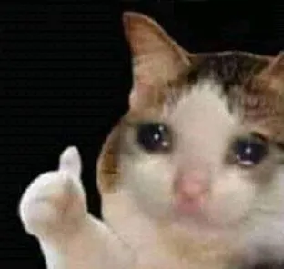 sad thumbs up cat blank meme template