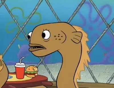 Sadly I Am Only An Eel blank meme template
