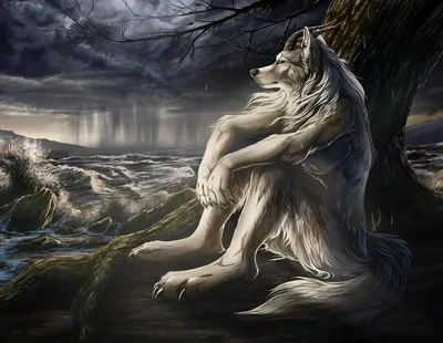 Sitting Wolf blank meme template