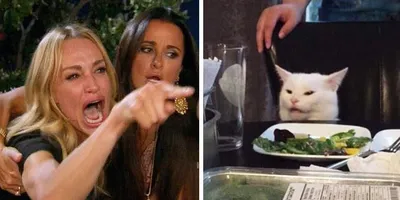 Smudge the cat blank meme template