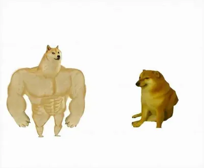 Strong dog vs weak dog blank meme template