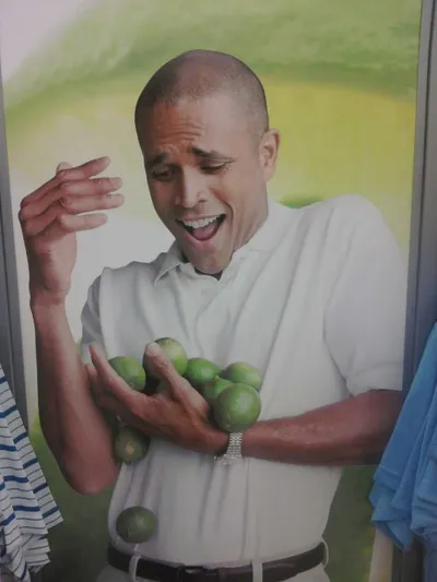 Why Can't I Hold All These Limes blank meme template