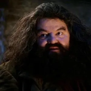 You're a wizard harry blank meme template